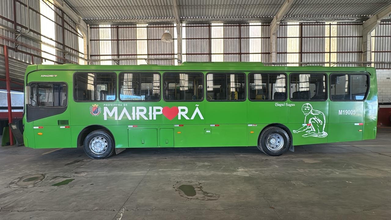 Mercedes-Benz Caio Apache Vip 2019